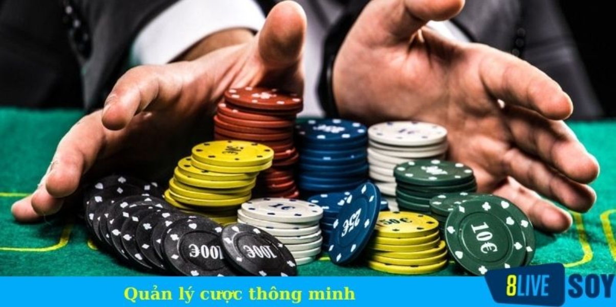 Quản lý cược thông minh